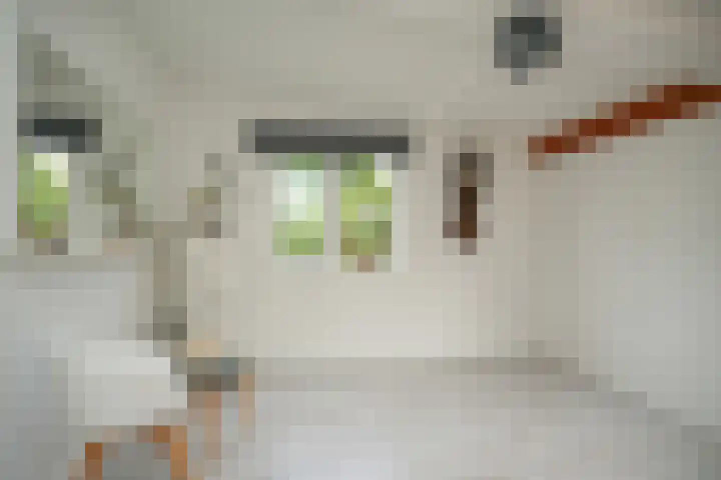 Hogestraat 6 Zoelen thumbnail 41