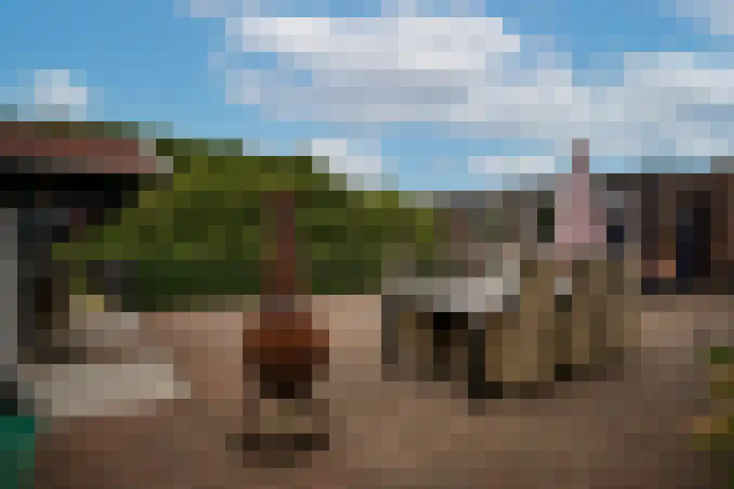 Hogestraat 6 Zoelen thumbnail 47