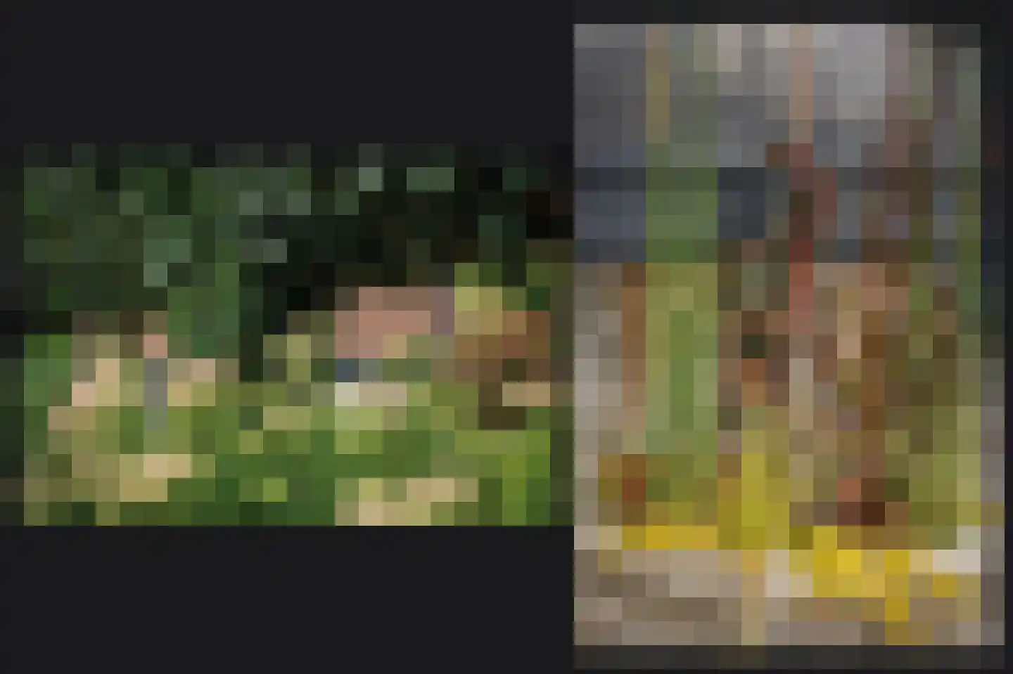 Hogestraat 6 Zoelen thumbnail 48