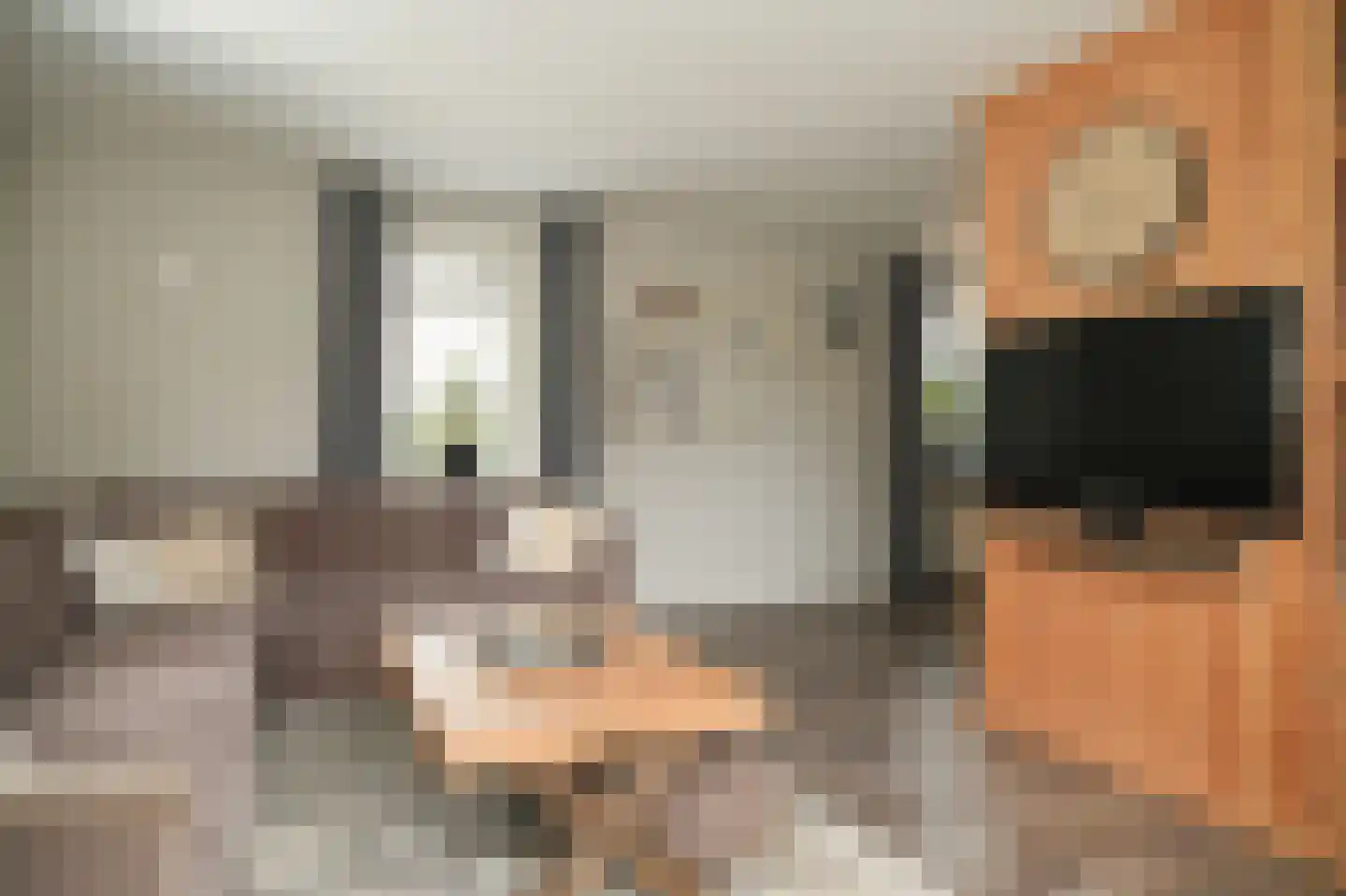Hogestraat 6 Zoelen thumbnail 9