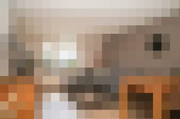 Hogestraat 65 B Druten thumbnail 4