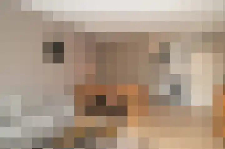 Hogestraat 65 B Druten thumbnail 5