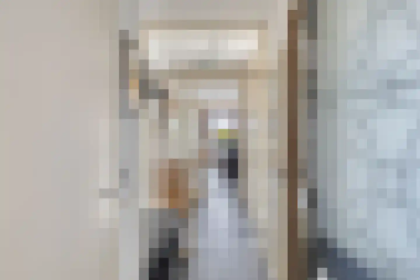 Hogestraat 69 8 Druten thumbnail 6