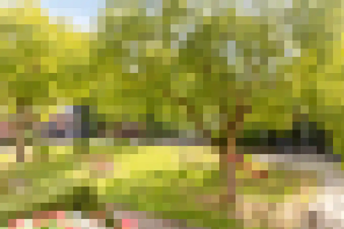 Hogestraat 74 C Aalten thumbnail 17