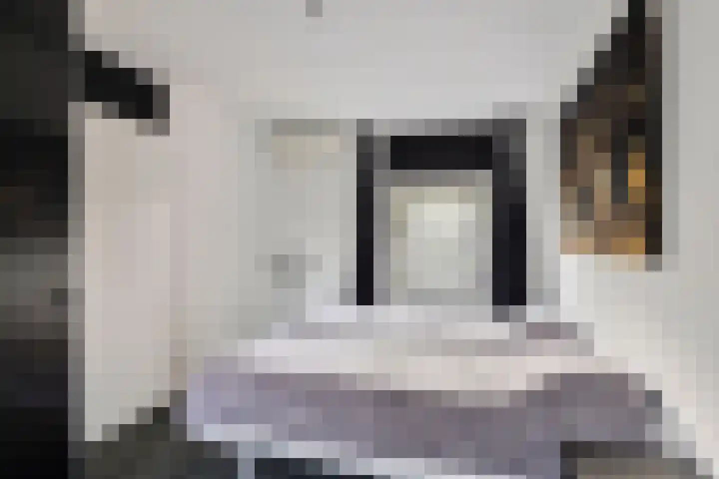 Hogestraat 74 C Aalten thumbnail 20