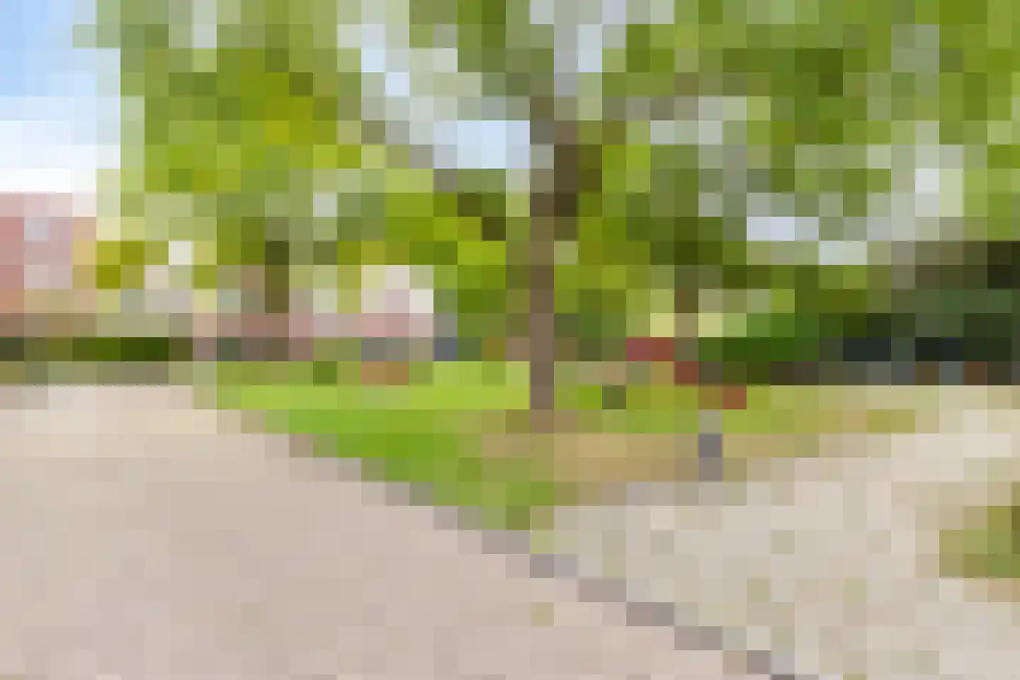 Hogestraat 74 C Aalten thumbnail 32