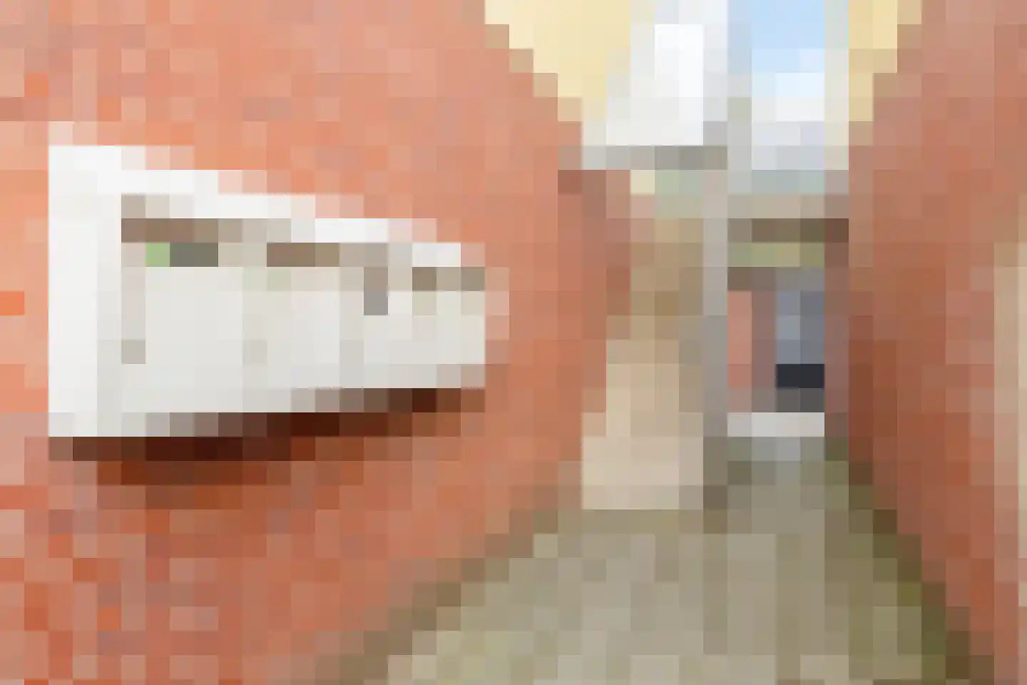 Hogestraat 74 C Aalten thumbnail 5