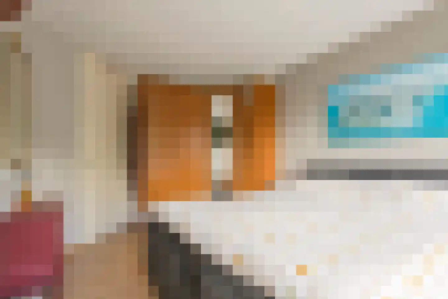 Hogestuk 26 Meppel thumbnail 23