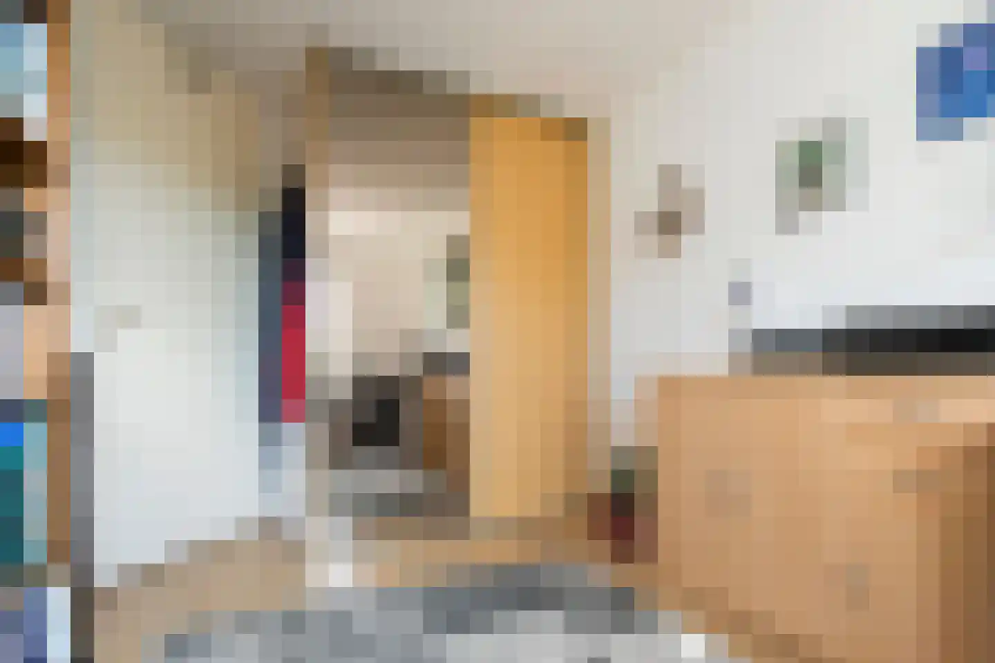 Hogestuk 26 Meppel thumbnail 25
