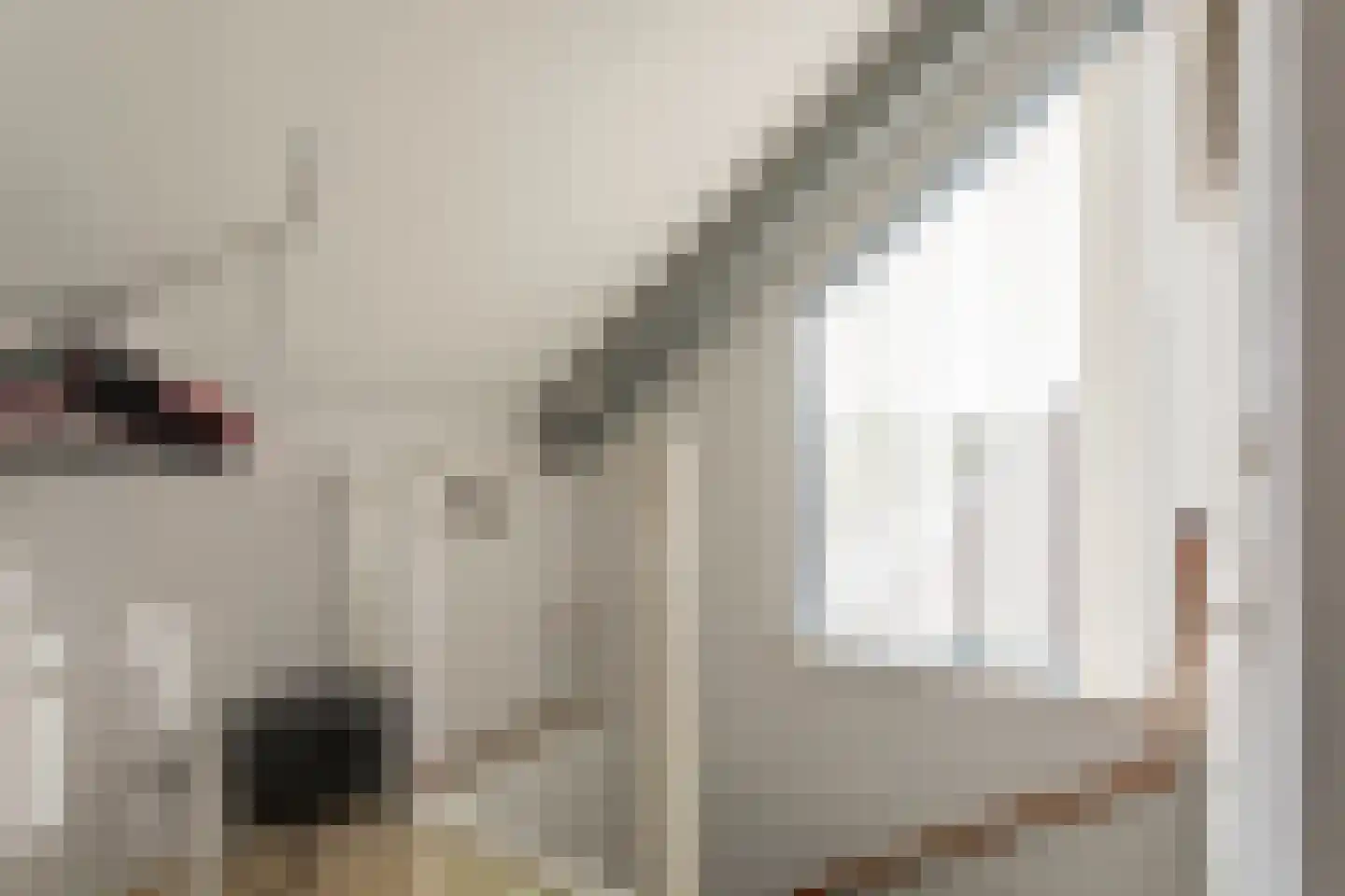 Hogestuk 26 Meppel thumbnail 33