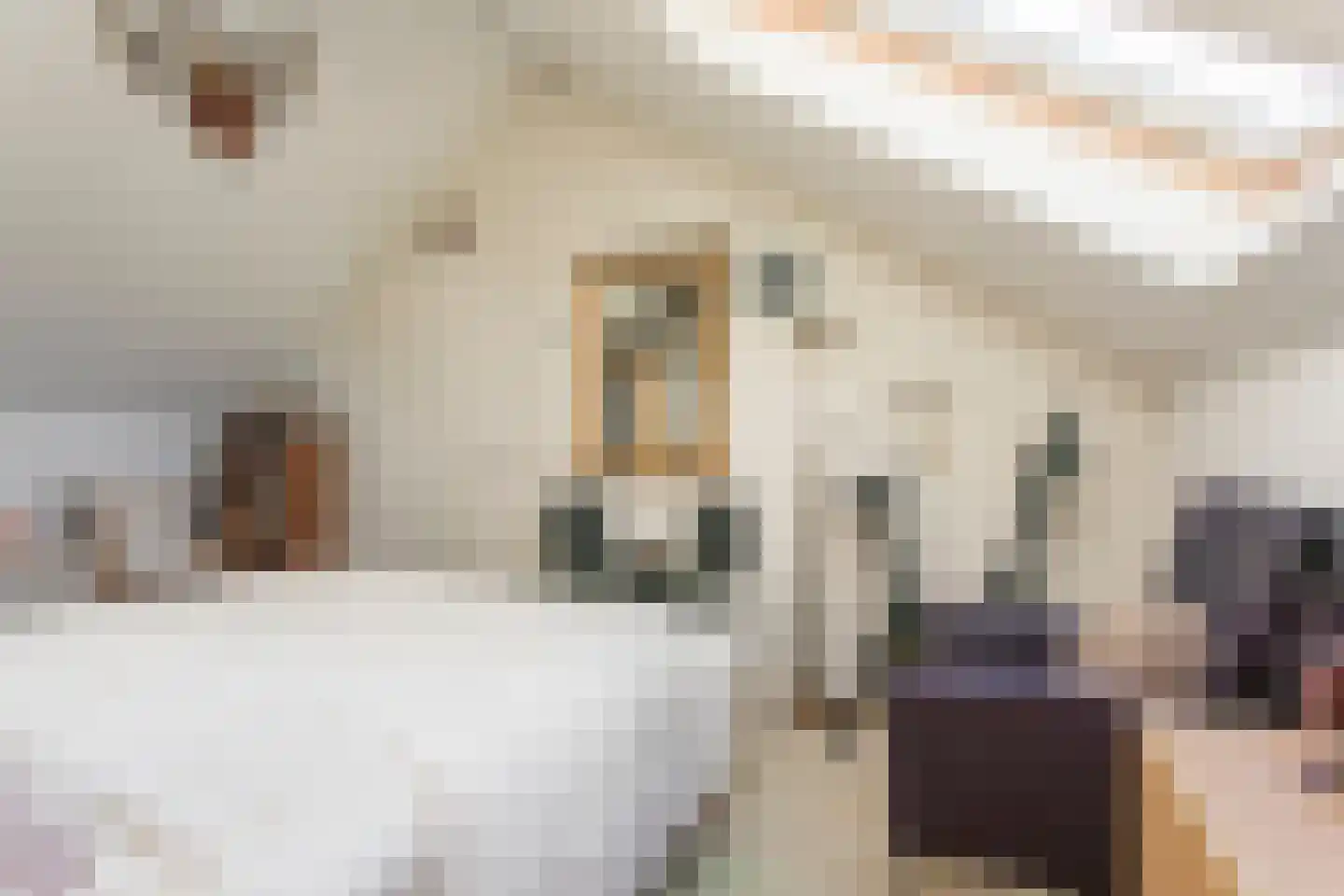 Hogestuk 26 Meppel thumbnail 37