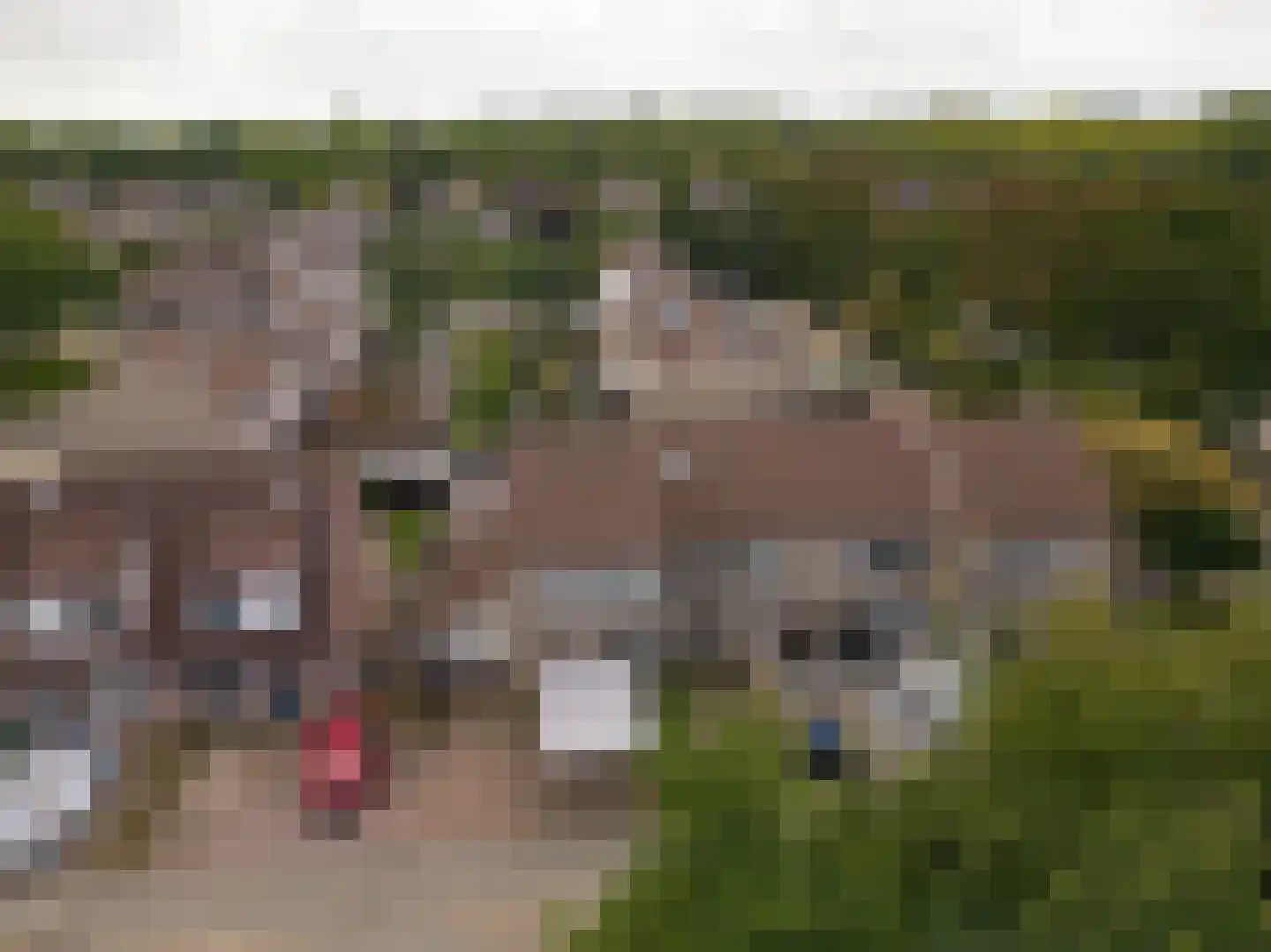 Hogestuk 26 Meppel thumbnail 5