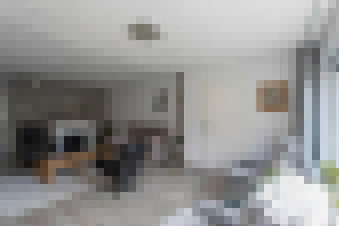 Hogestuk 26 Meppel thumbnail 8