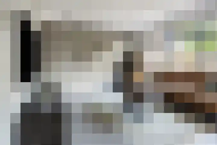 Hogestuk 35 Meppel thumbnail 11