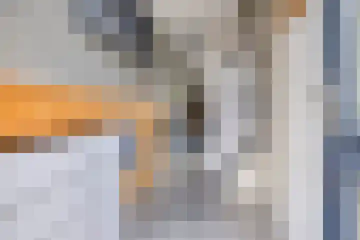 Hogestuk 35 Meppel thumbnail 12