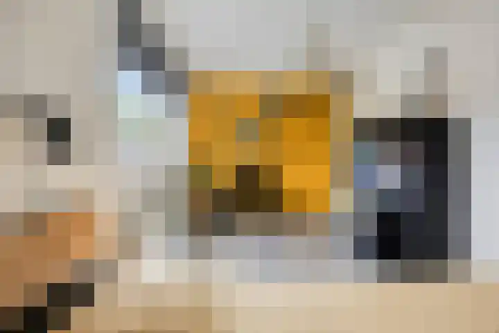 Hogestuk 35 Meppel thumbnail 15