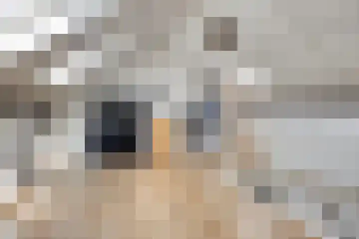 Hogestuk 35 Meppel thumbnail 19