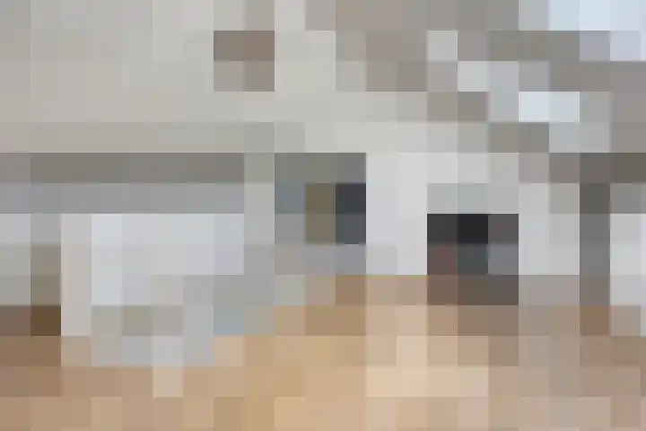 Hogestuk 35 Meppel thumbnail 20