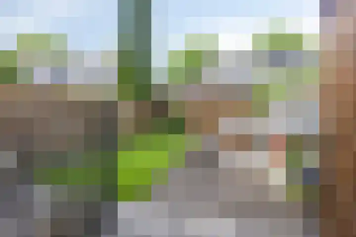 Hogestuk 35 Meppel thumbnail 21