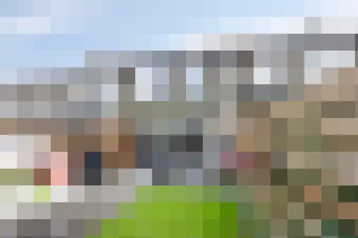 Hogestuk 35 Meppel thumbnail 23