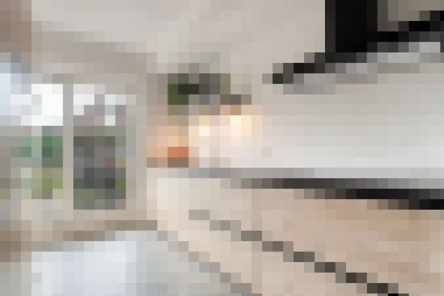 Hogestuk 75 Meppel thumbnail 11