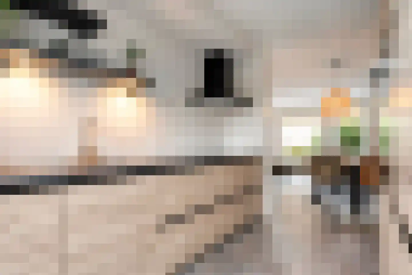 Hogestuk 75 Meppel thumbnail 12