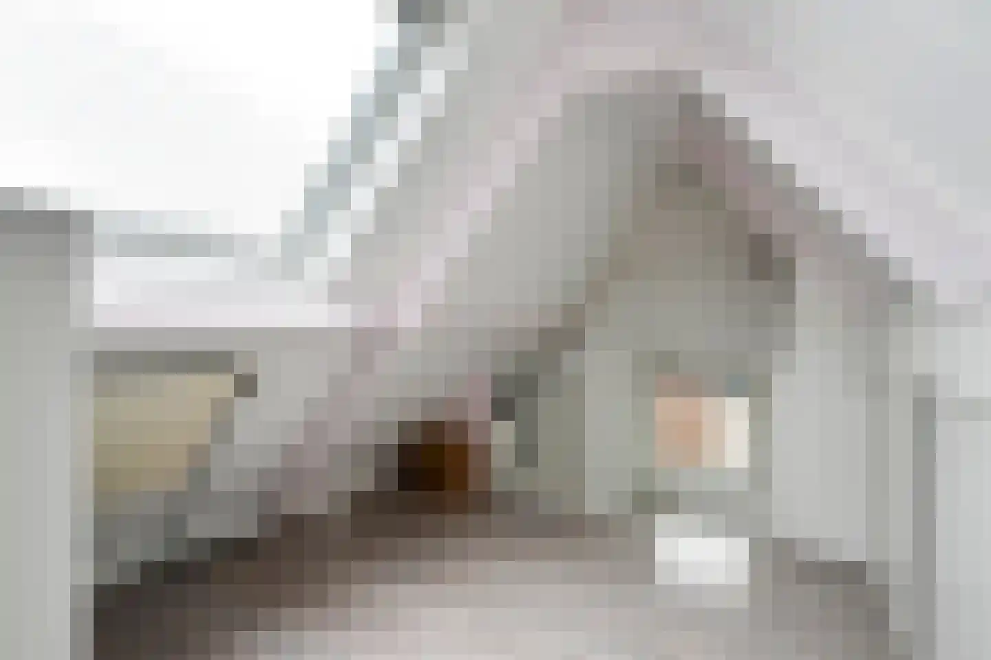 Hogestuk 75 Meppel thumbnail 31