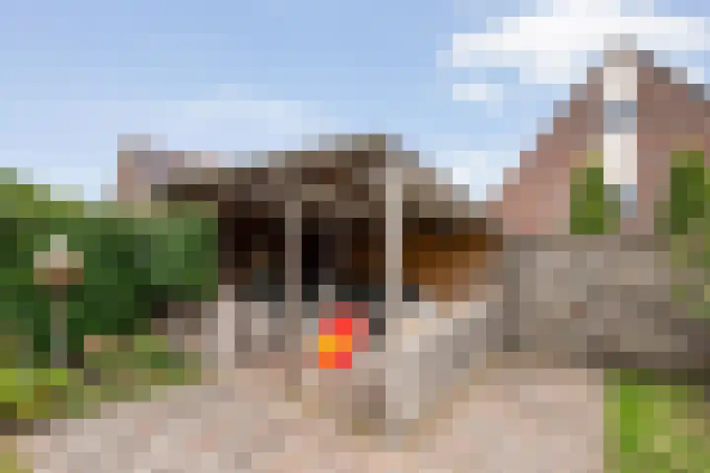 Hogestuk 75 Meppel thumbnail 36