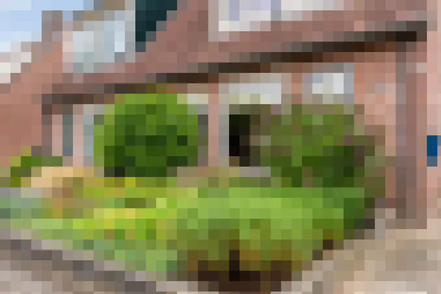 Hogestuk 75 Meppel thumbnail 44
