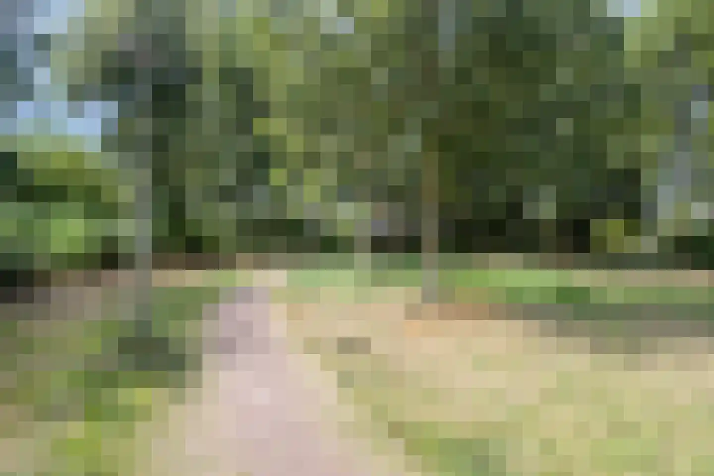 Hogestukke 3 Eibergen thumbnail 42