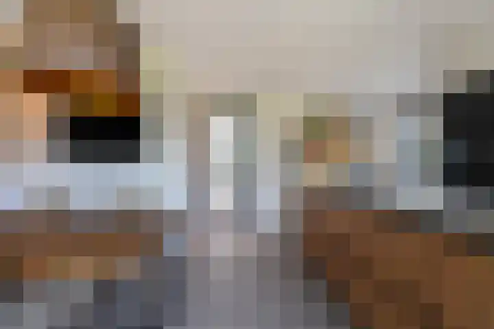 Hogevaart 133 Sprang-Capelle thumbnail 21