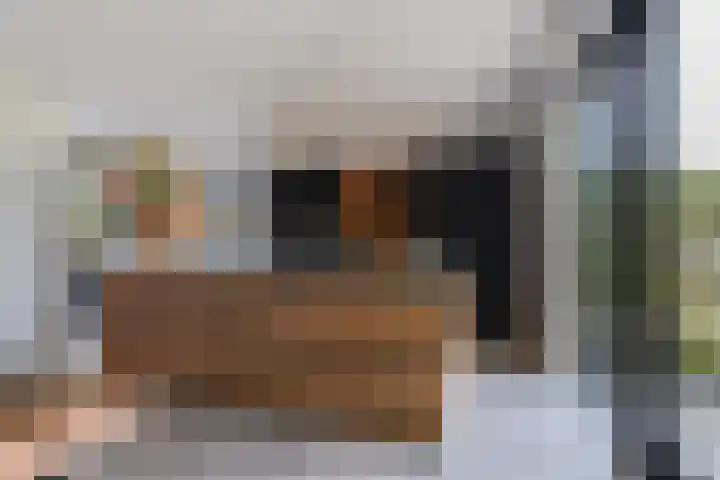 Hogevaart 133 Sprang-Capelle thumbnail 25