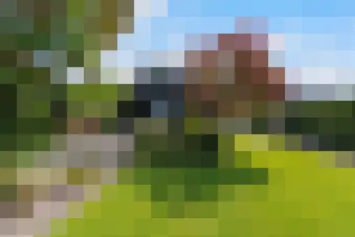 Hogevaart 133 Sprang-Capelle thumbnail 4