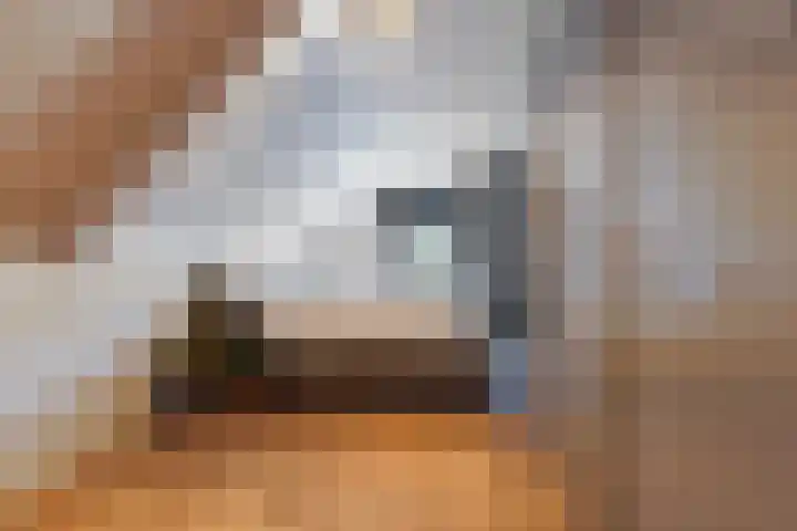 Hogevaart 133 Sprang-Capelle thumbnail 43