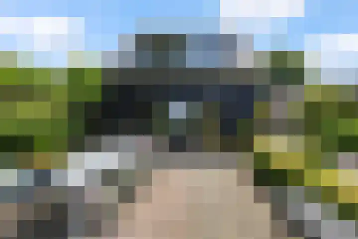 Hogevaart 133 Sprang-Capelle thumbnail 52