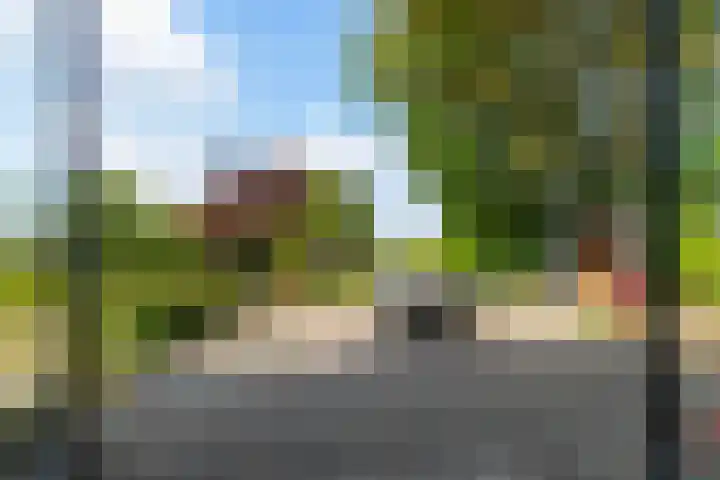 Hogevaart 133 Sprang-Capelle thumbnail 54