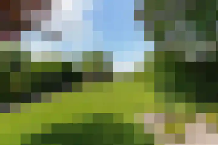Hogevaart 133 Sprang-Capelle thumbnail 55
