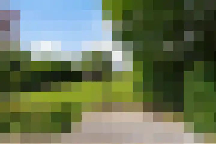 Hogevaart 133 Sprang-Capelle thumbnail 56