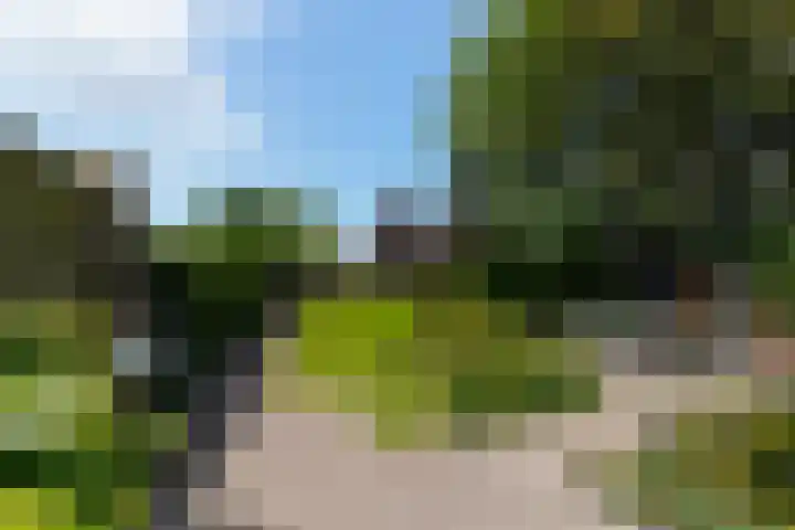 Hogevaart 133 Sprang-Capelle thumbnail 57