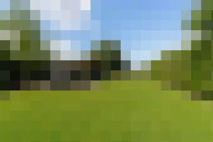 Hogevaart 133 Sprang-Capelle thumbnail 59