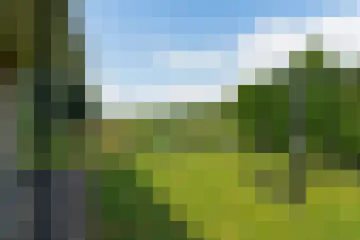 Hogevaart 133 Sprang-Capelle thumbnail 62