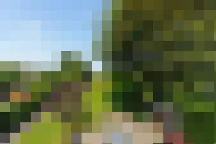 Hogevaart 133 Sprang-Capelle thumbnail 63