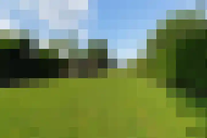 Hogevaart 133 Sprang-Capelle thumbnail 64