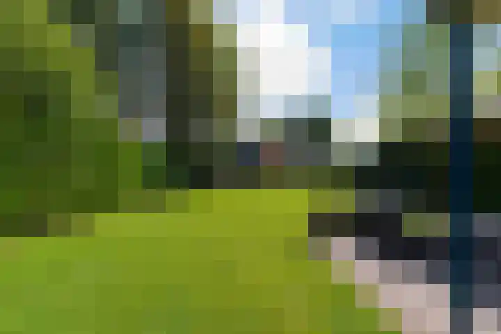 Hogevaart 133 Sprang-Capelle thumbnail 65