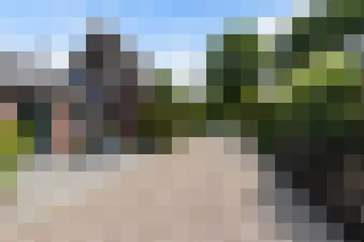 Hogevaart 133 Sprang-Capelle thumbnail 67