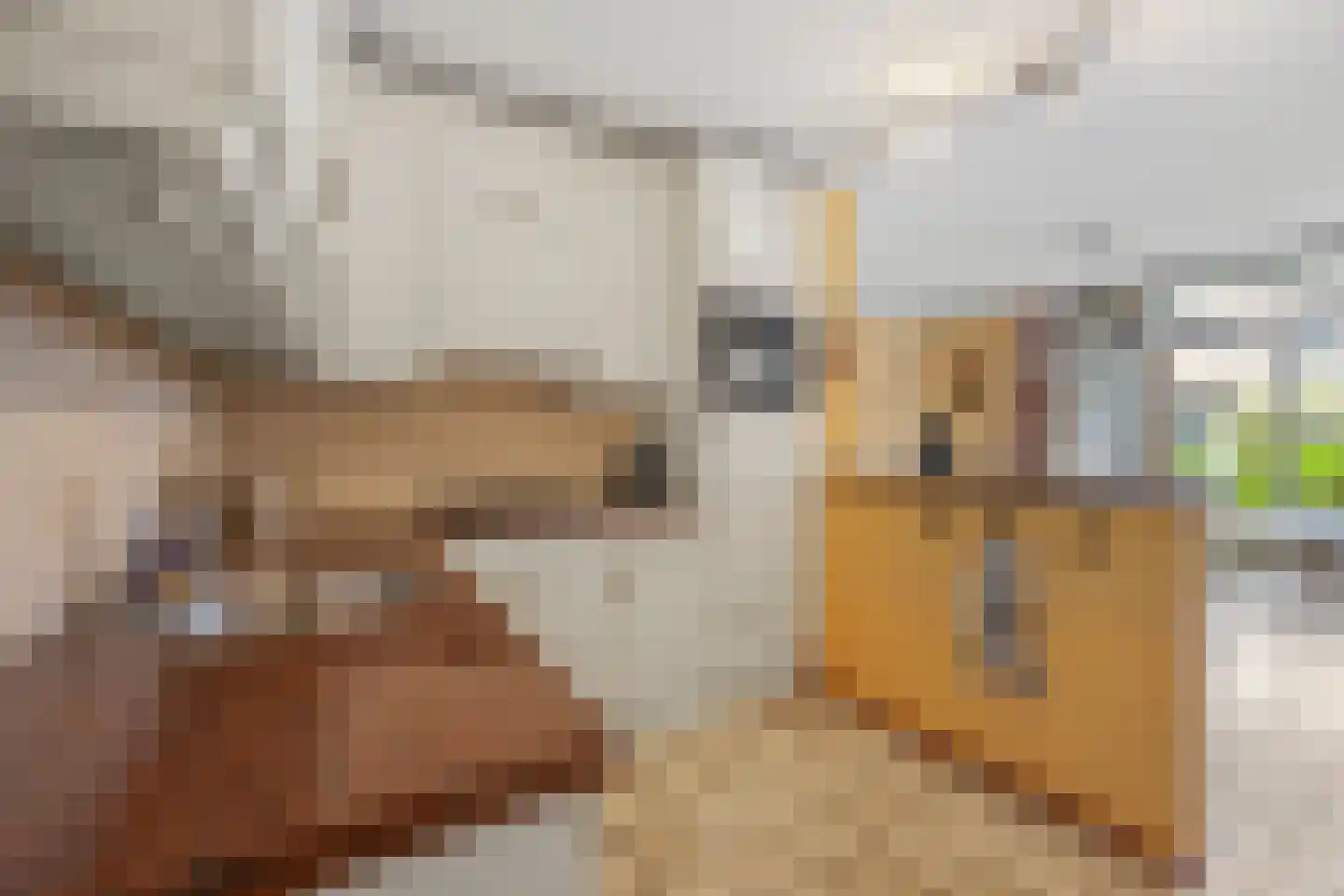 Hogevaert 20 Kaatsheuvel thumbnail 14