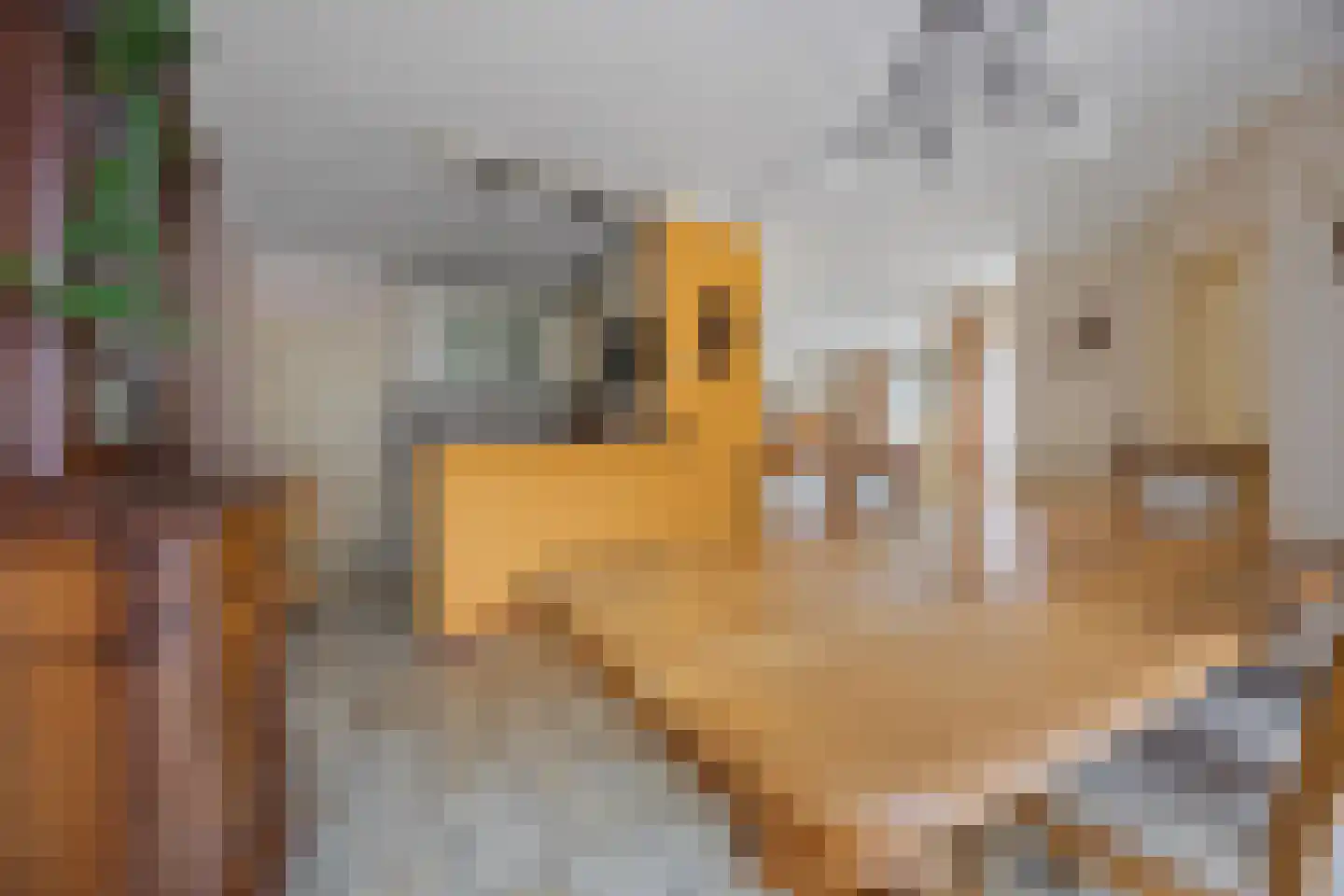 Hogevaert 20 Kaatsheuvel thumbnail 4