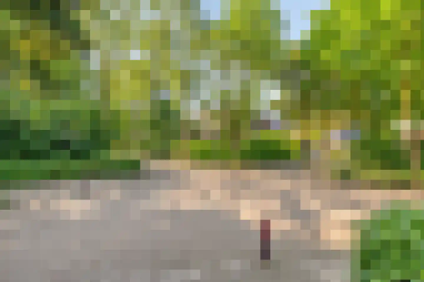 Hogevaert 48 Kaatsheuvel thumbnail 33