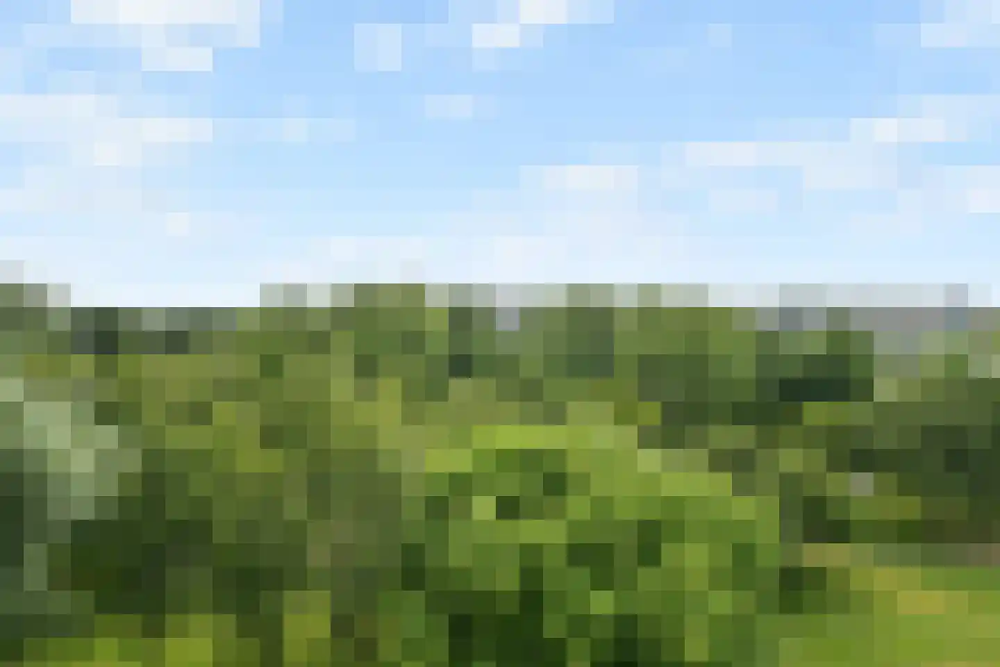 Hogevecht 119 Amsterdam thumbnail 11