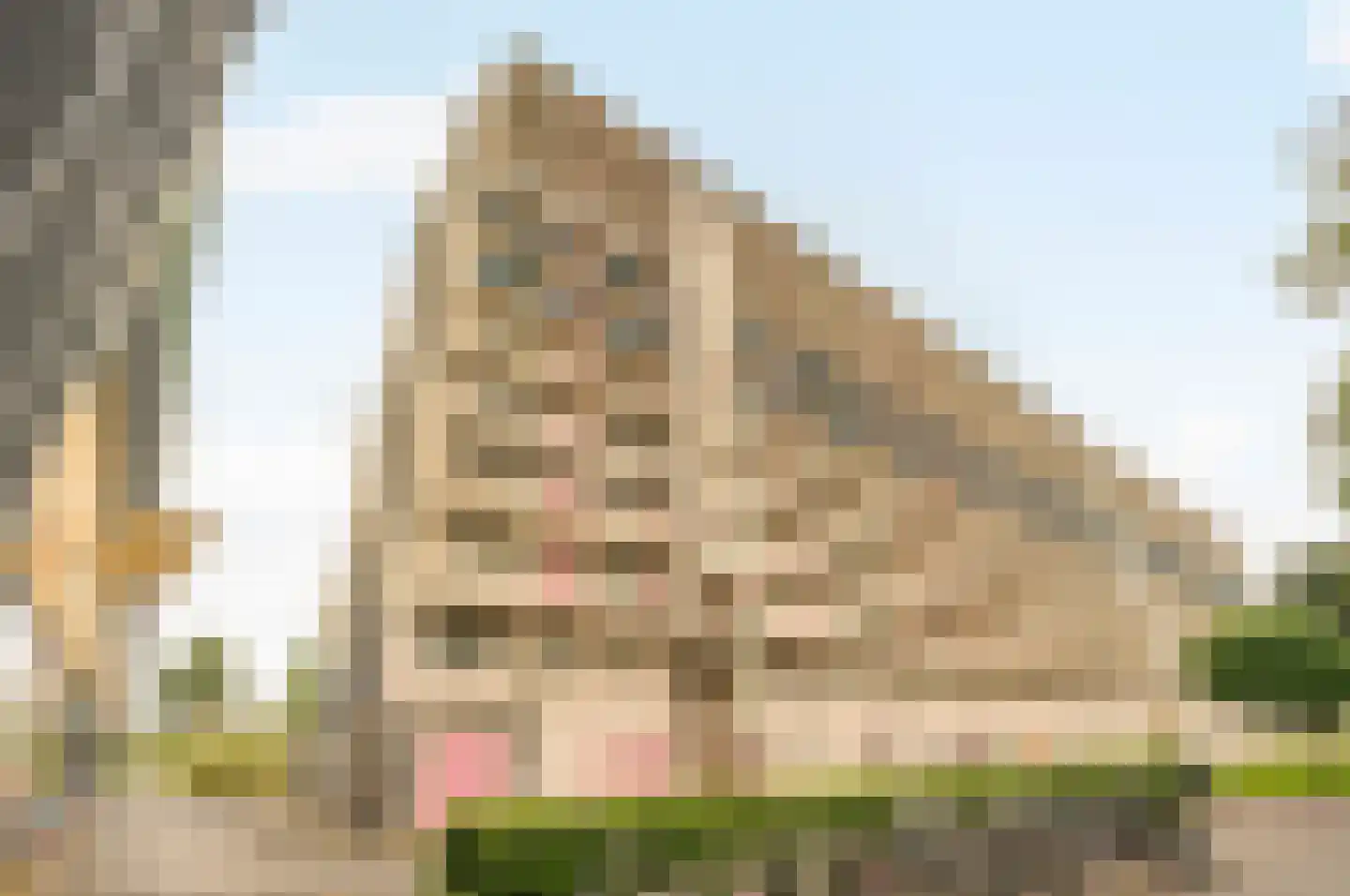 Hogevecht 123 Amsterdam thumbnail 37